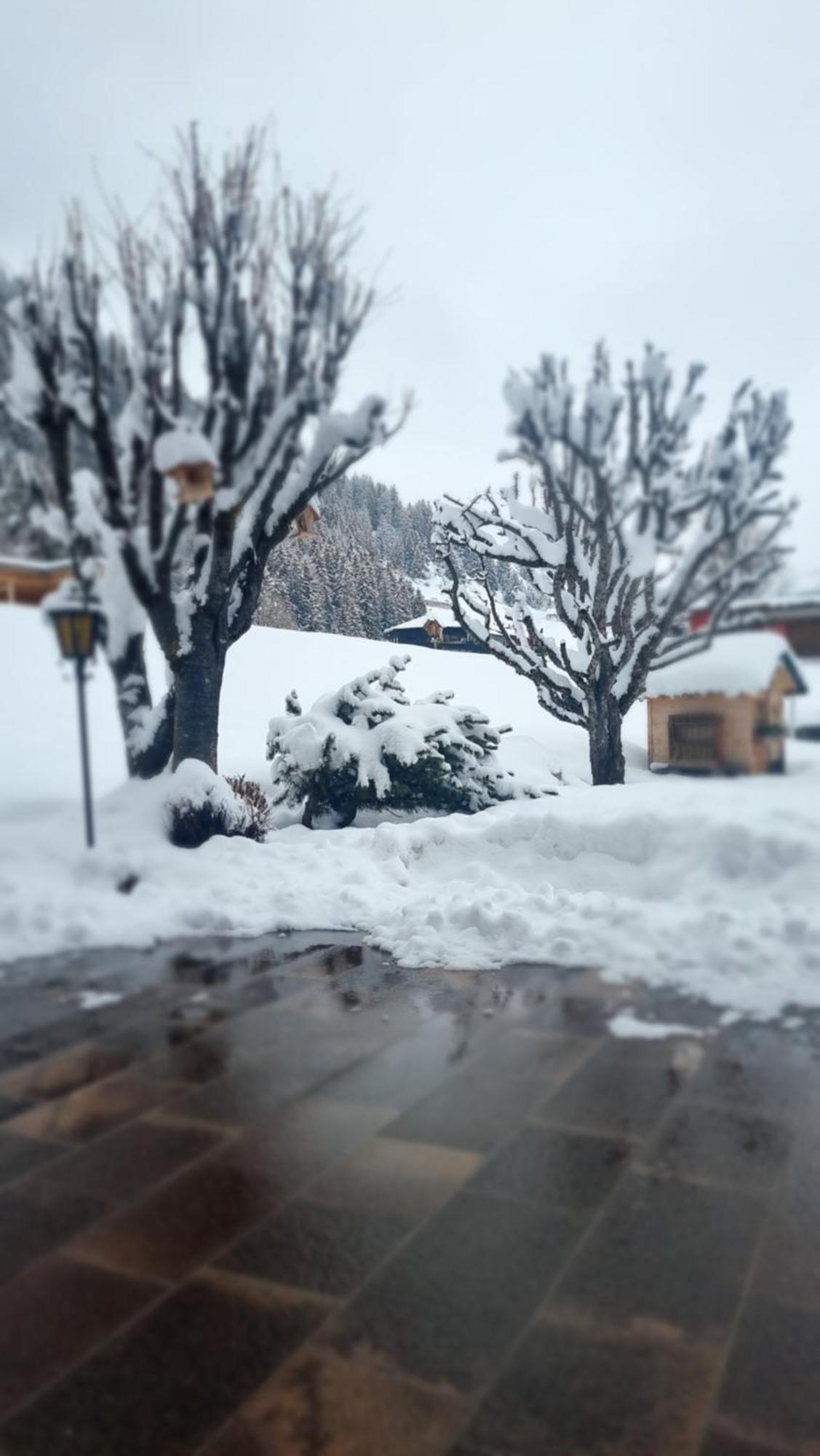 B&B Ciauceia Selva di Val Gardena Luaran gambar
