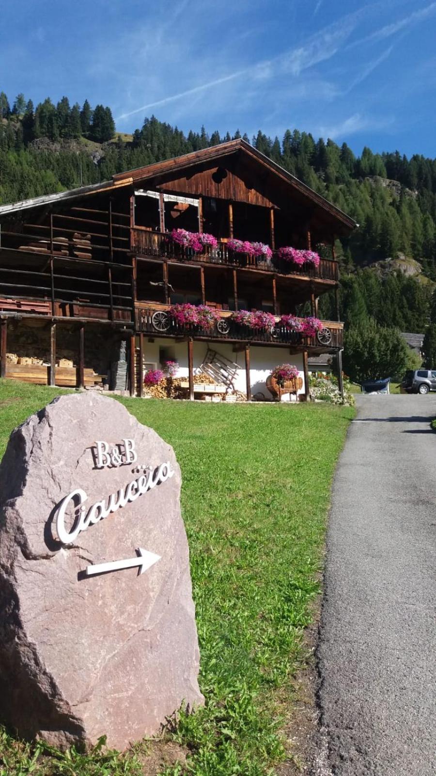 B&B Ciauceia Selva di Val Gardena Luaran gambar