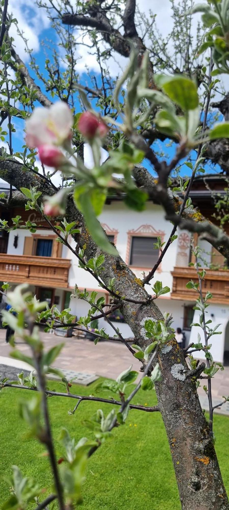 B&B Ciauceia Selva di Val Gardena Luaran gambar